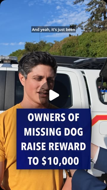 Community search continues for missing dog Luca