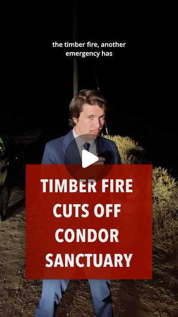 Condors released after Timber Fire access disruption