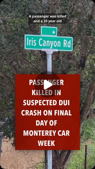 Passenger Killed in Suspected DUI Crash in Monterey